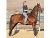 Futurity's Musical Ice