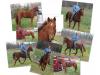 Summerfield Cadence Summerfield Cadence
