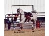 GH Eura Showgirl