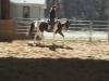 JB Skips Contender JB Skips Contender