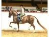 Futurity Show Byz