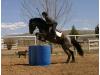 Boots Boots