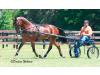 Knolland Radiant Roxanne (H)