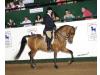 NSS American Idol
