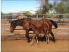 Time To Rein Time To Rein
